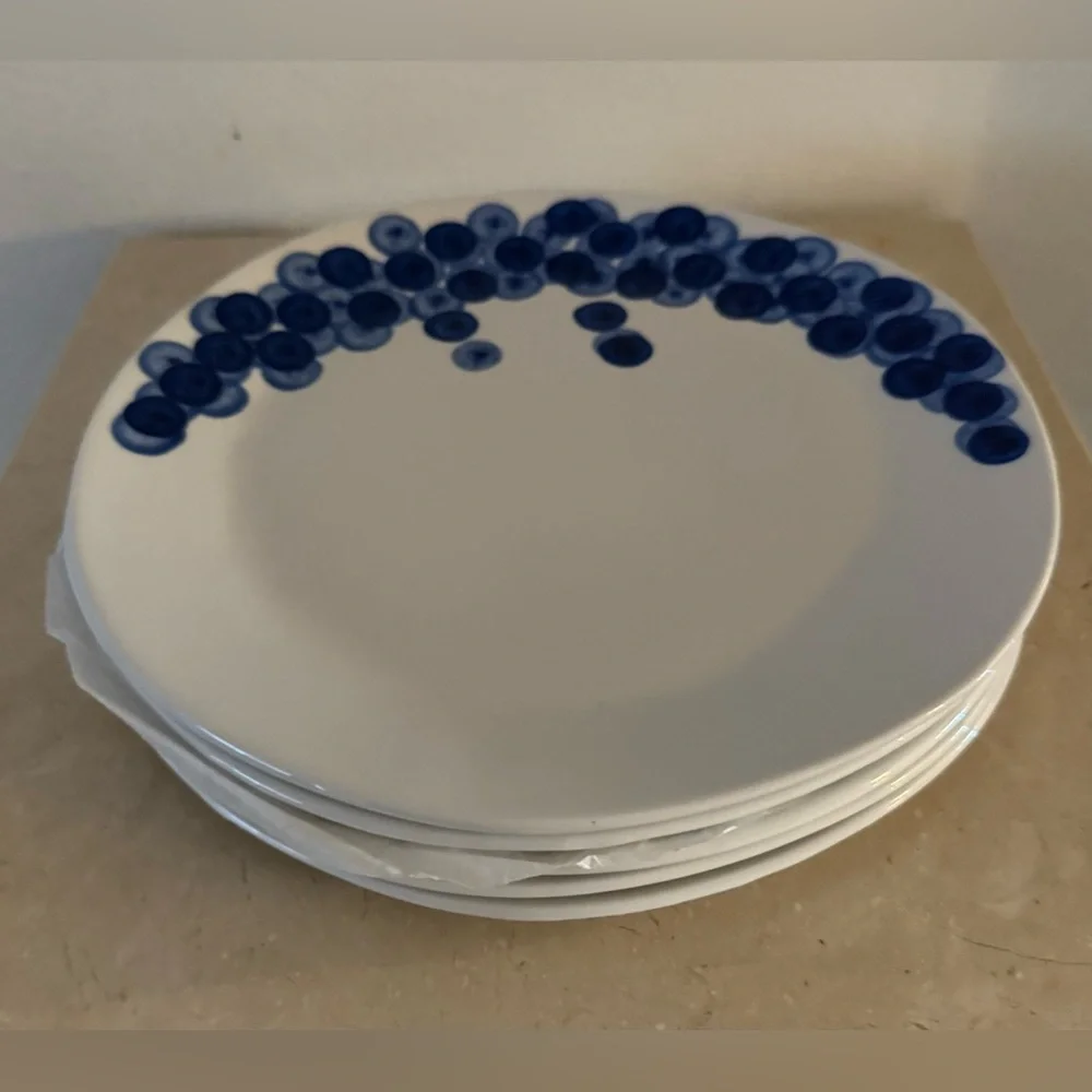 COPY - 5 VTG Crate&Barrel RIKA salad/dessert plates. 8.75” Blueberries